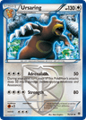 Ursaring