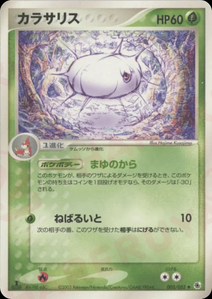 Silcoon