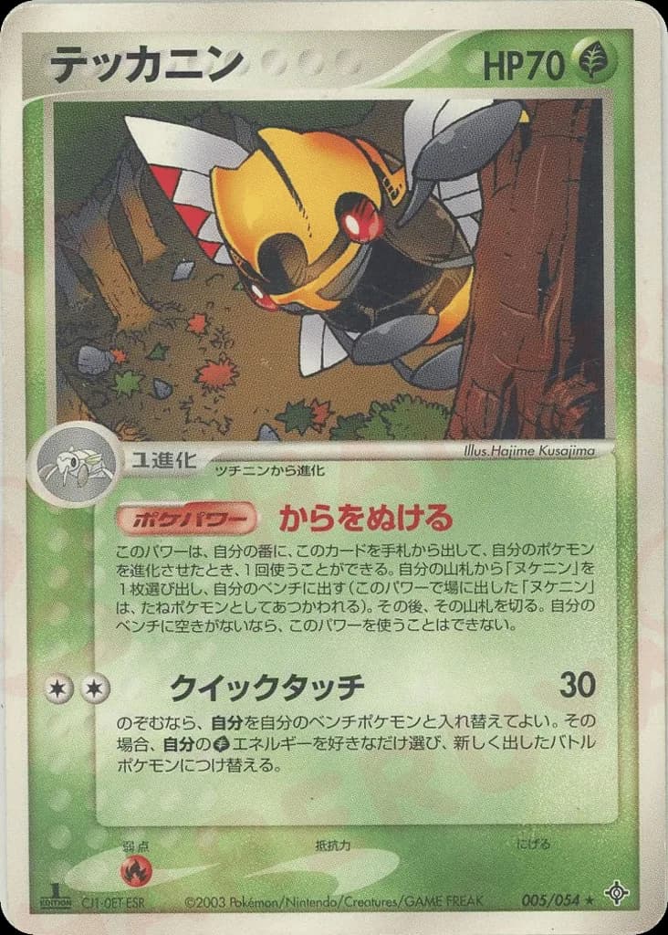 Ninjask