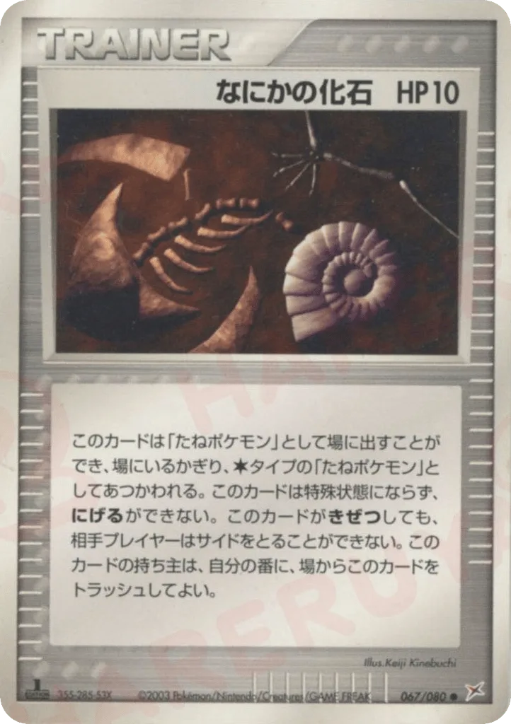Mysterious Fossil