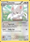 Cinccino