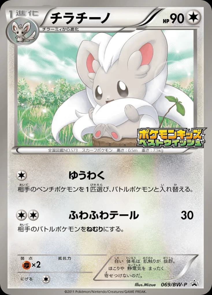 Cinccino