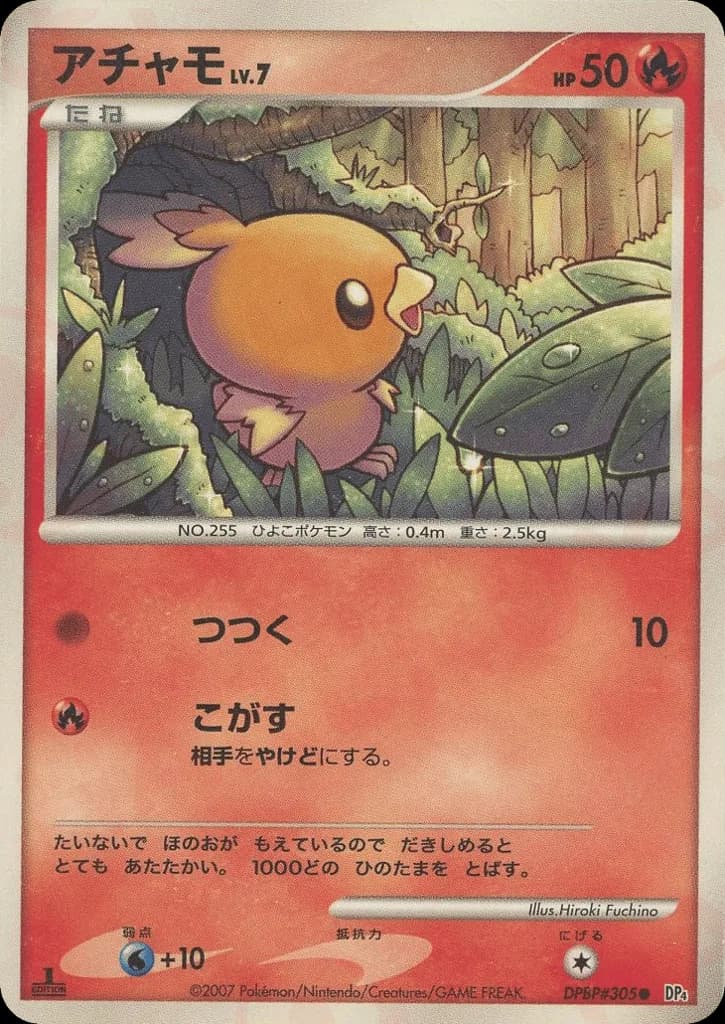 Torchic