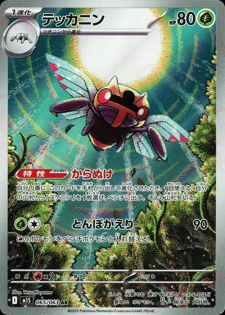 Ninjask