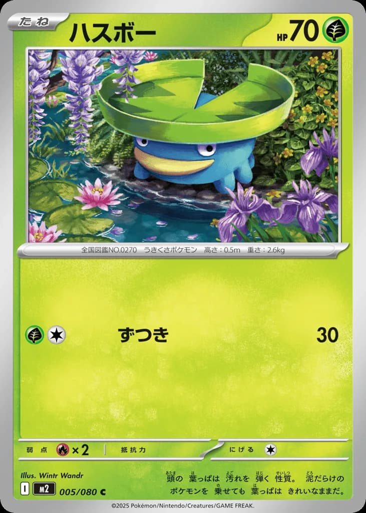 Lotad