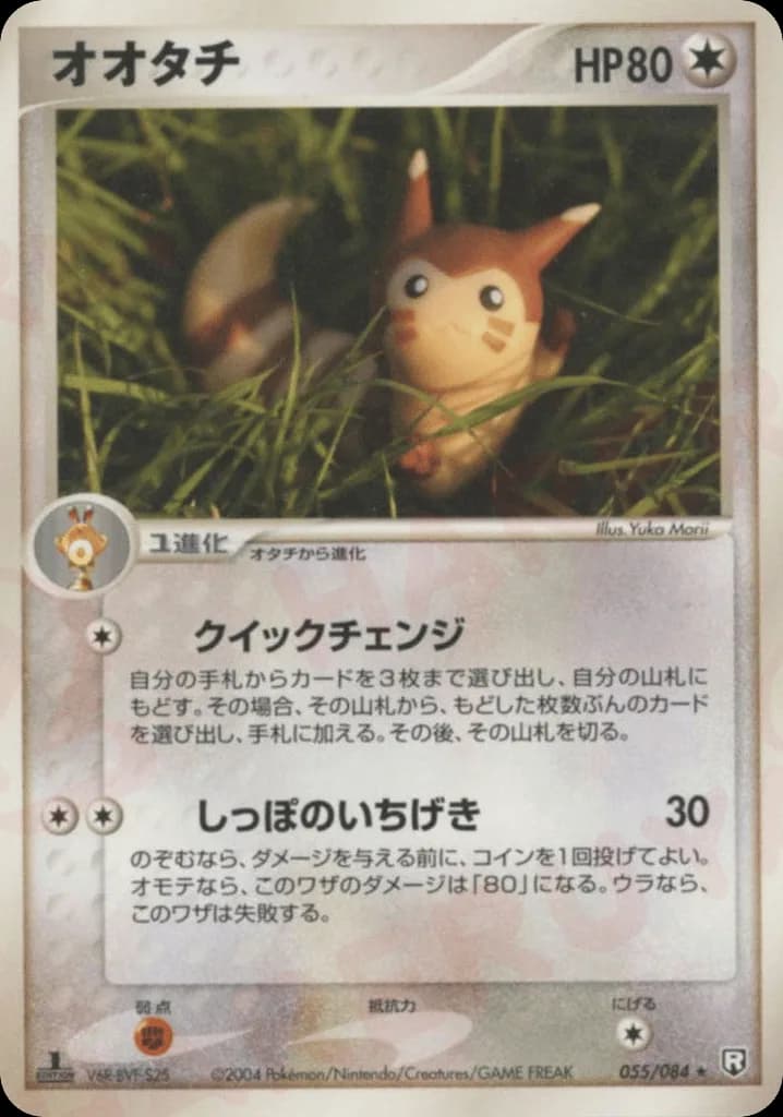 Furret