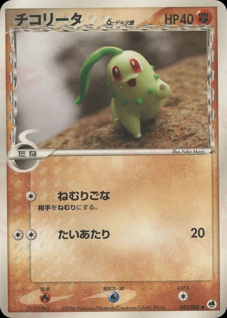 Chikorita δ