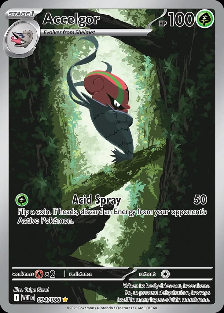 Accelgor