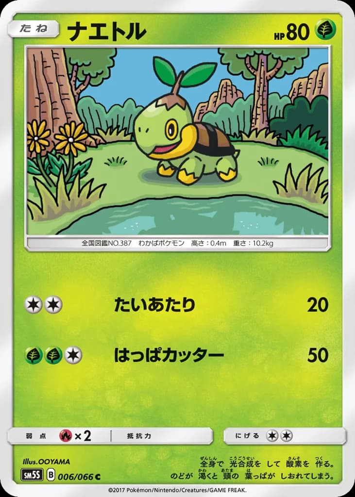 Turtwig
