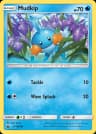Mudkip