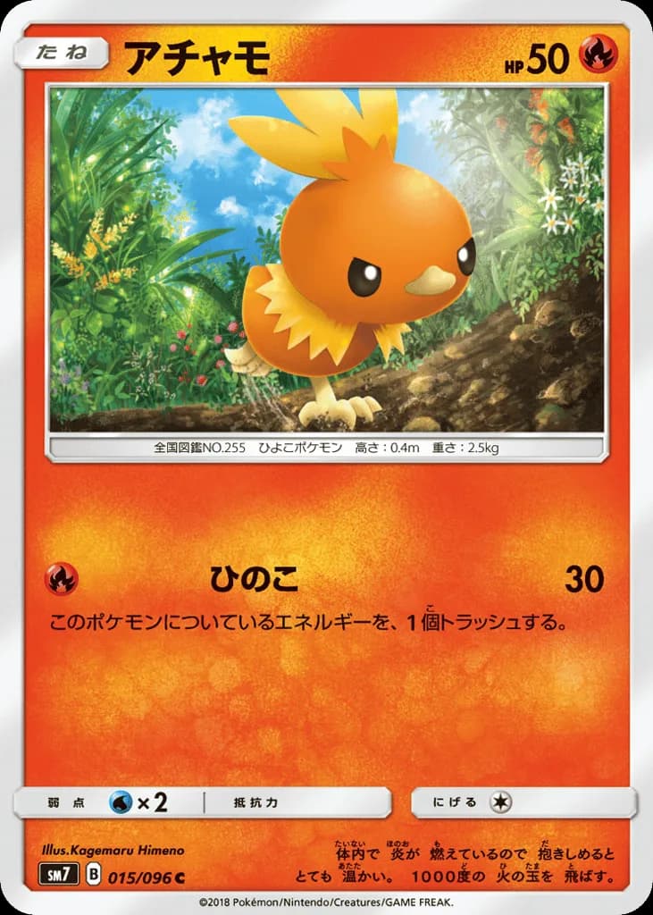 Torchic