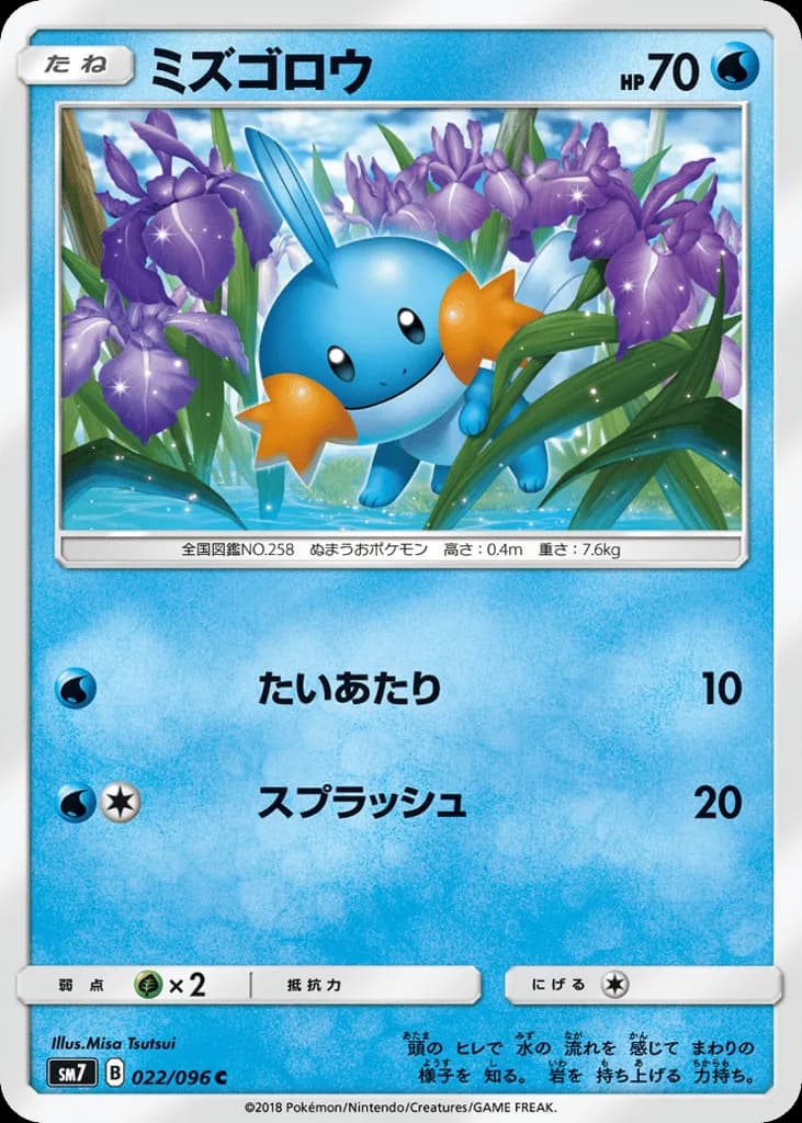 Mudkip