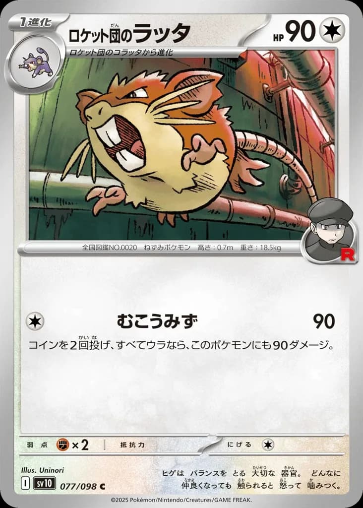 Team Rocket's Raticate