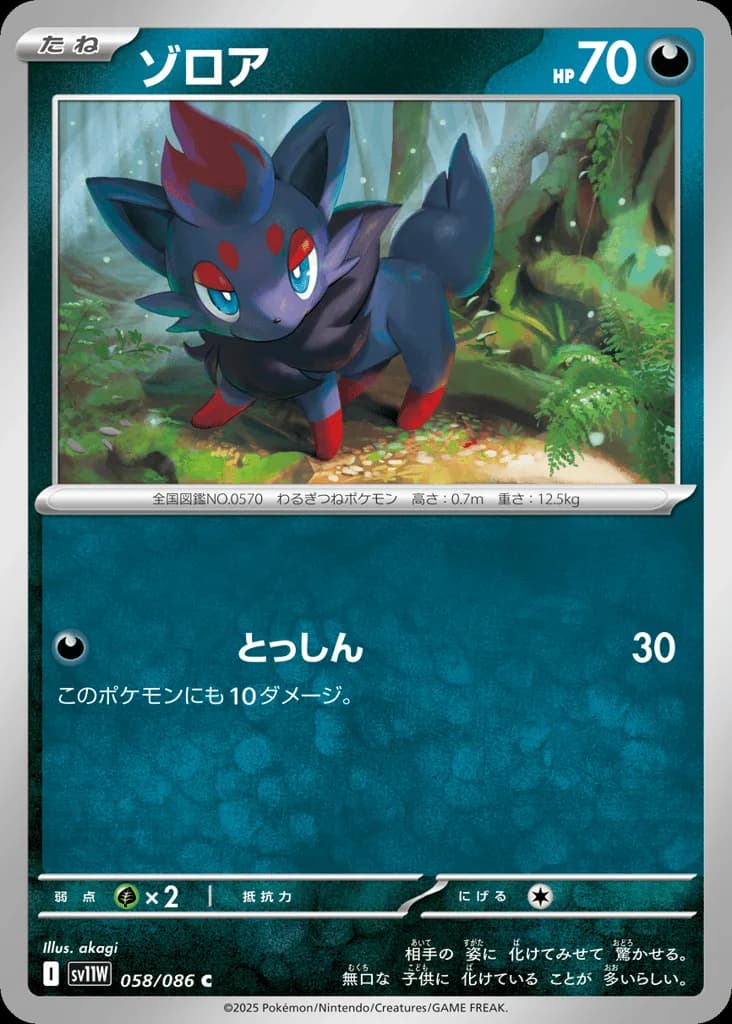 Zorua