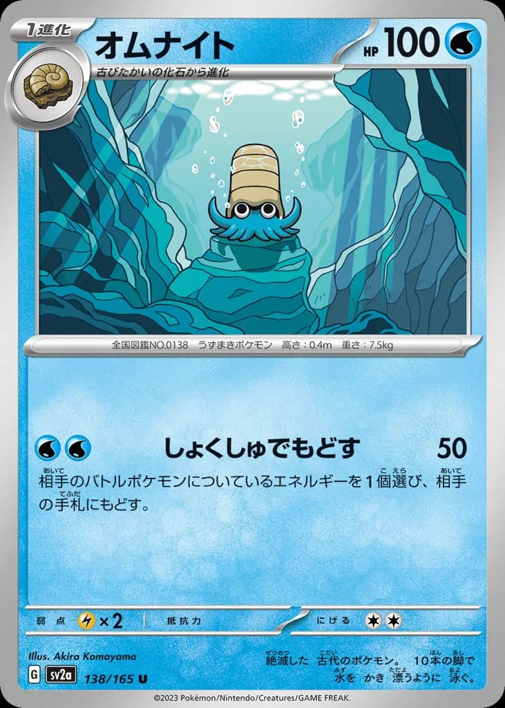 Omanyte