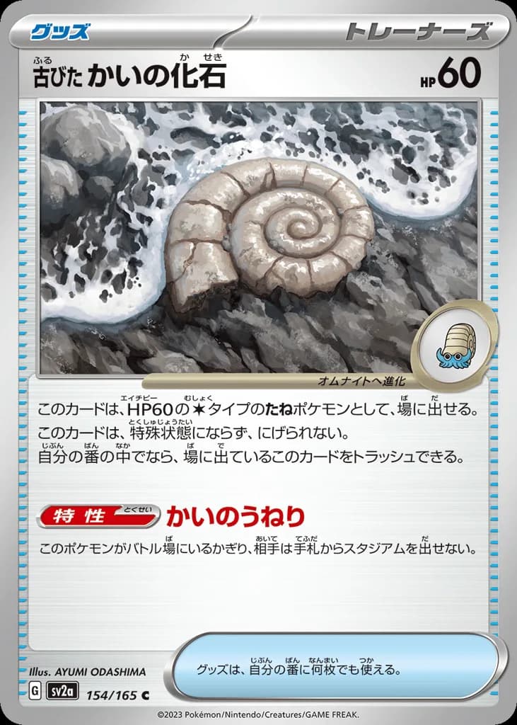 Antique Helix Fossil