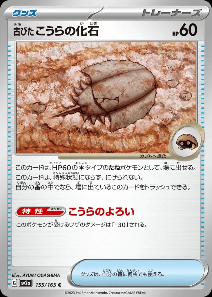 Antique Dome Fossil