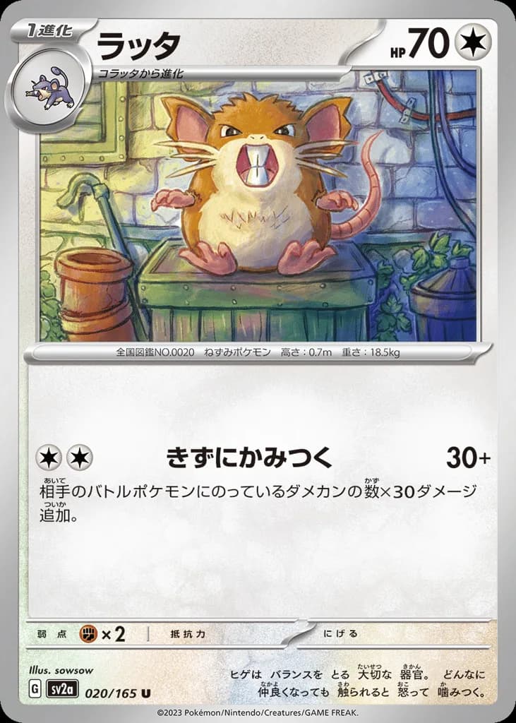 Raticate