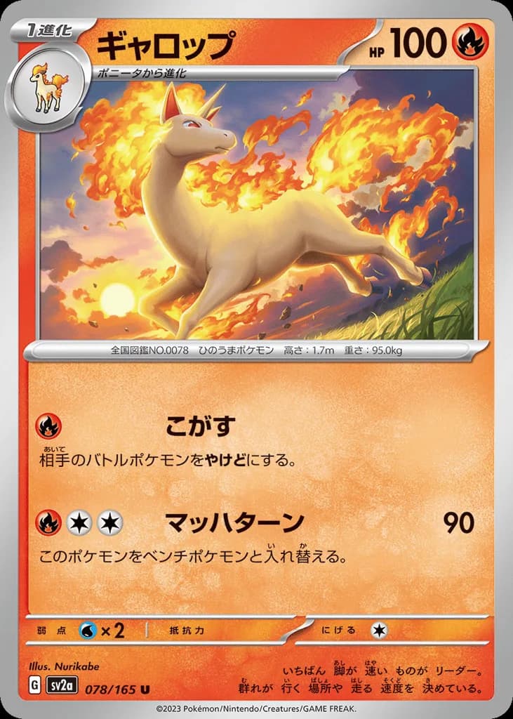 Rapidash