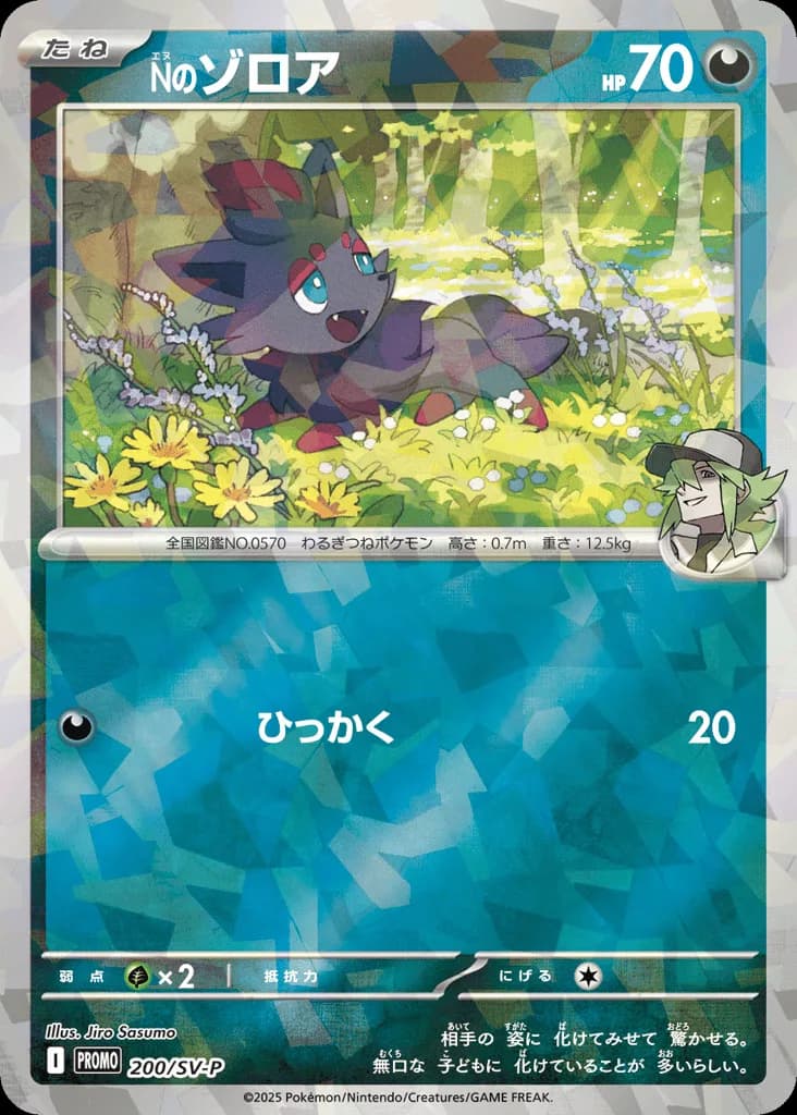 N's Zorua