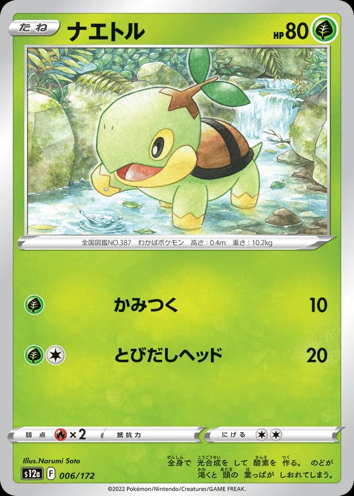 Turtwig