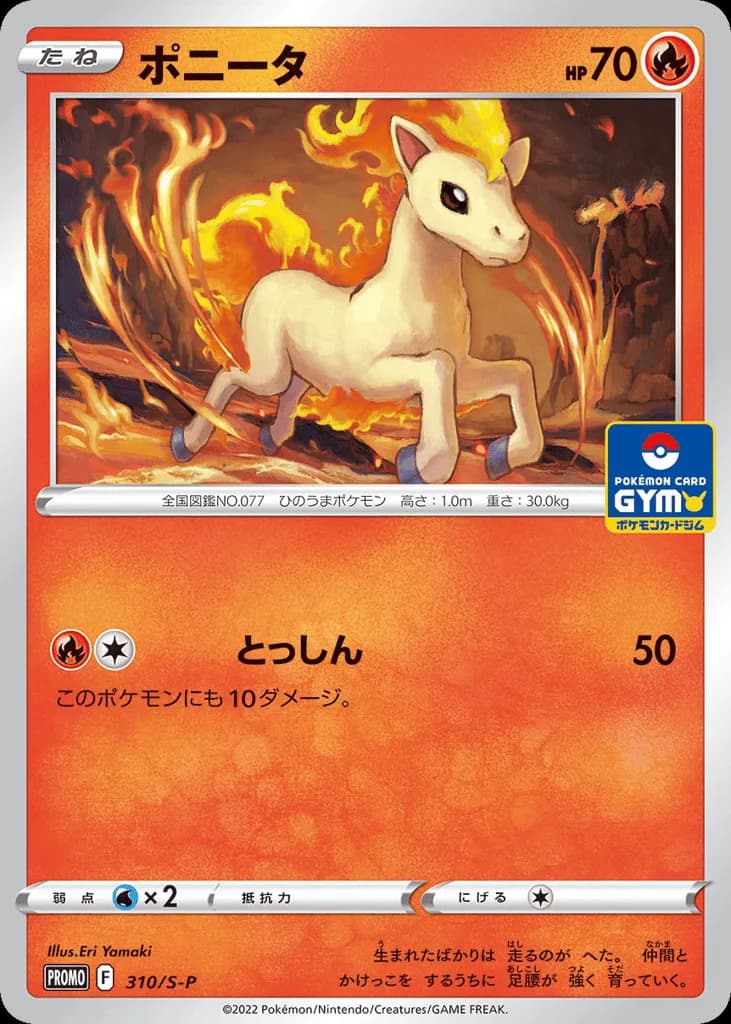 Ponyta