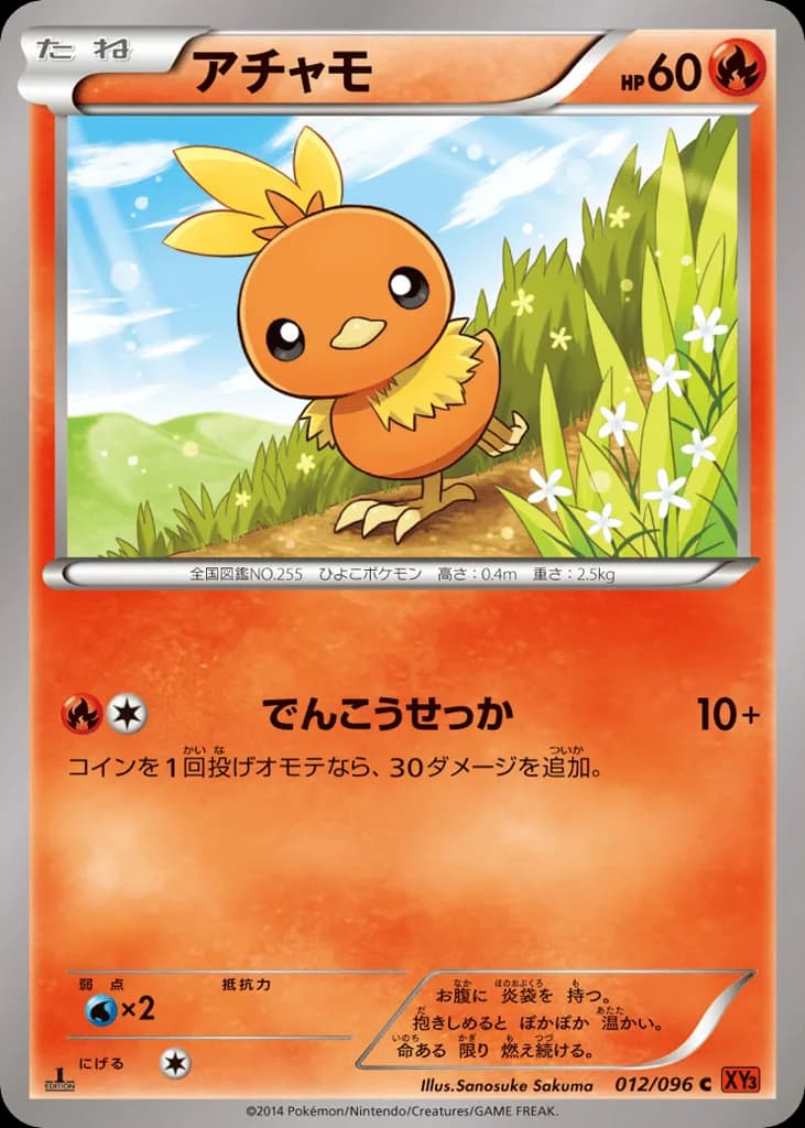 Torchic