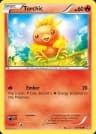 Torchic