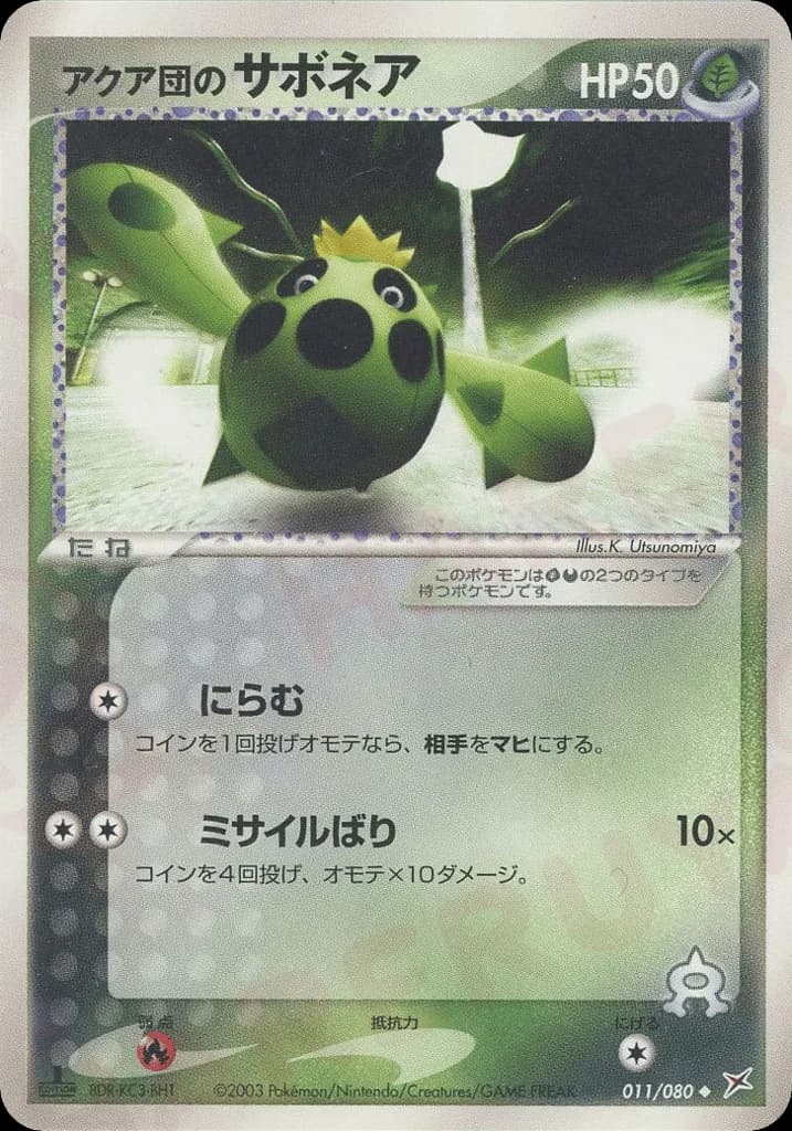 Team Aqua's Cacnea