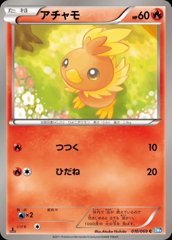 Torchic