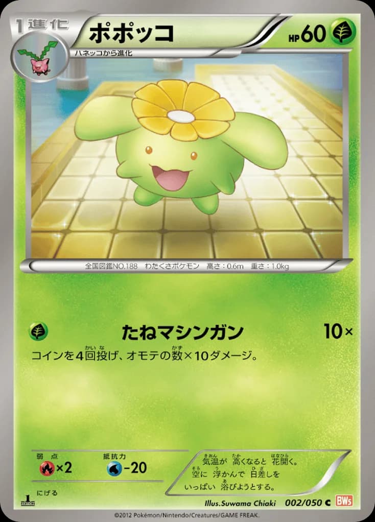 Skiploom