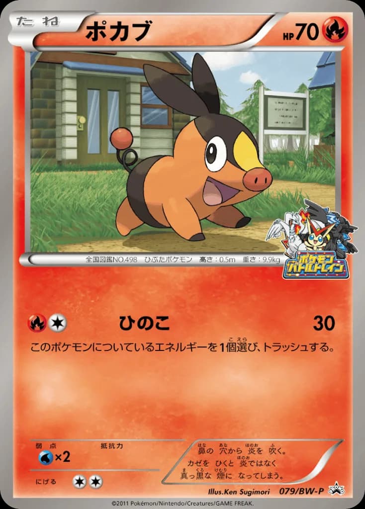 Tepig