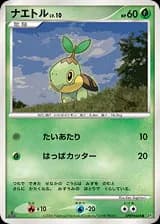 Turtwig