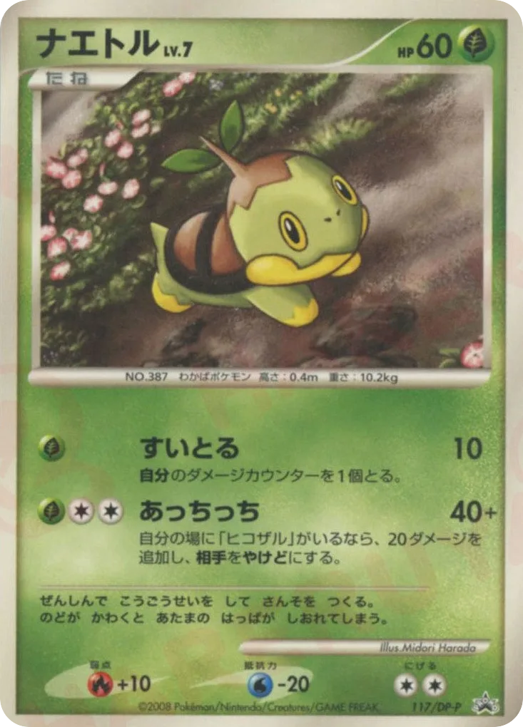 Turtwig