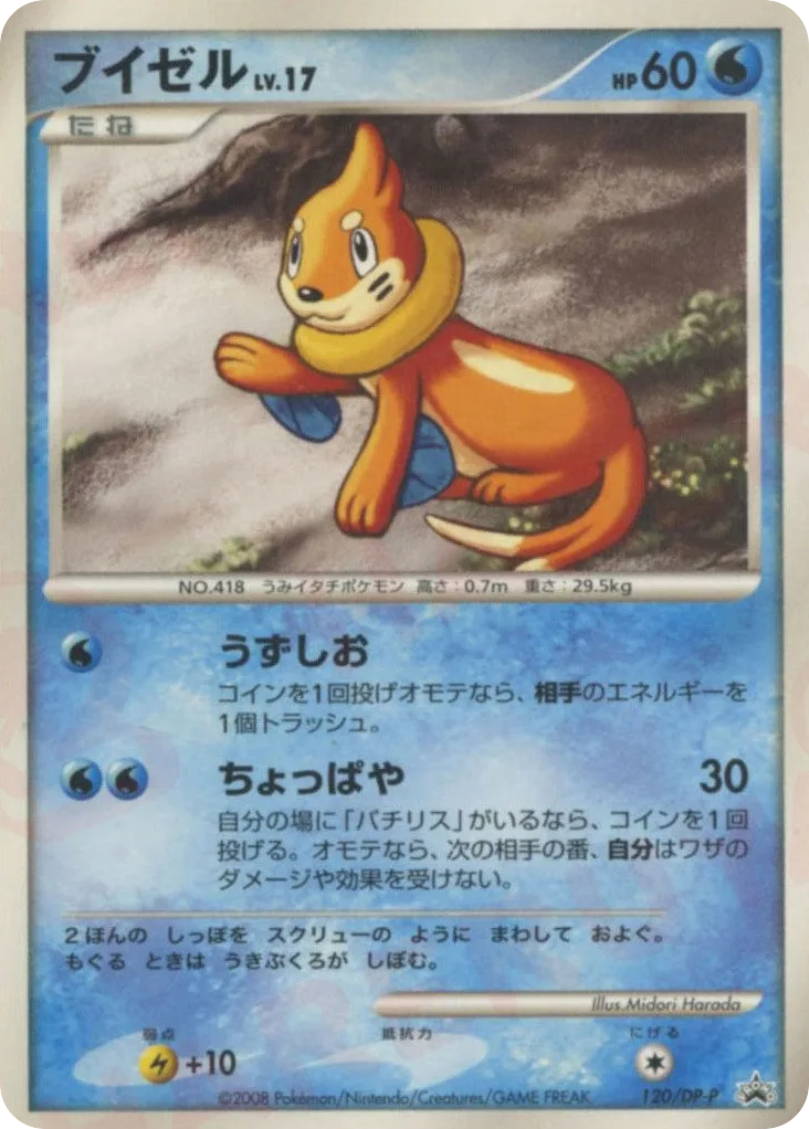 Buizel