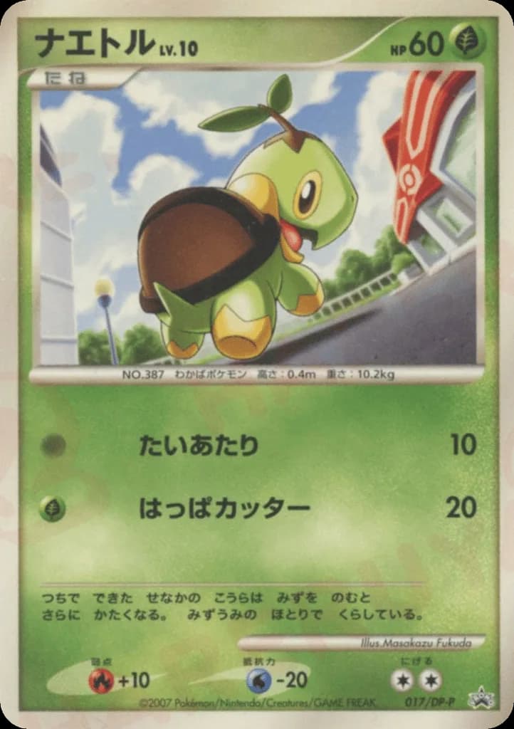Turtwig