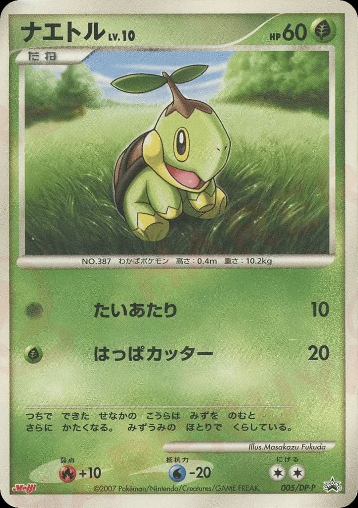 Turtwig