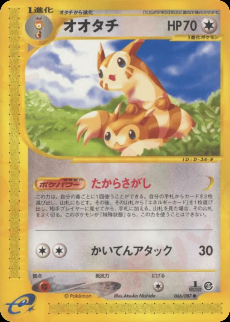 Furret