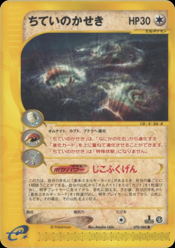 Buried Fossil