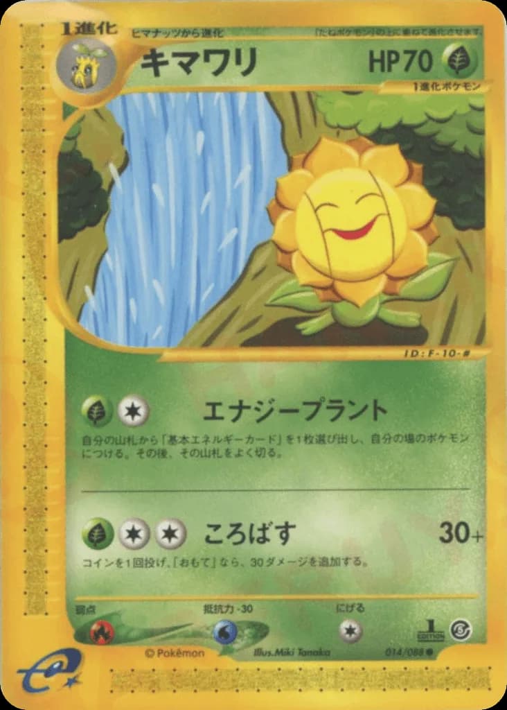 Sunflora