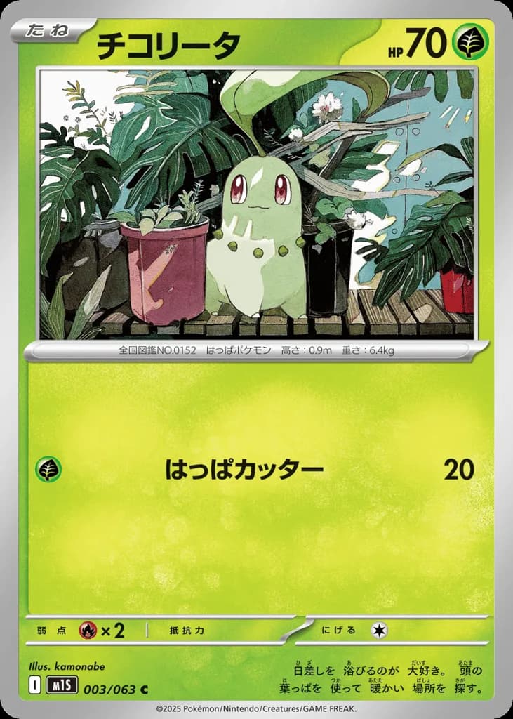Chikorita
