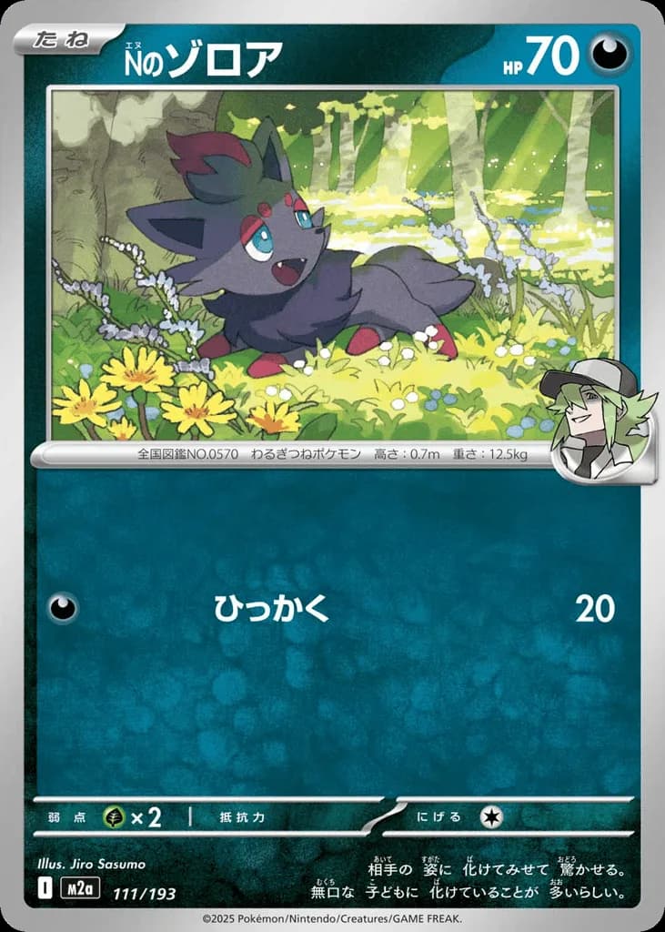 N's Zorua
