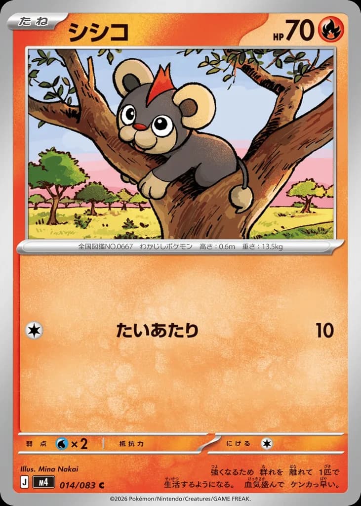 Litleo