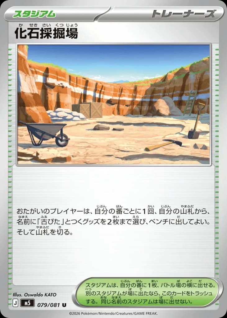 Fossil Excavation Site