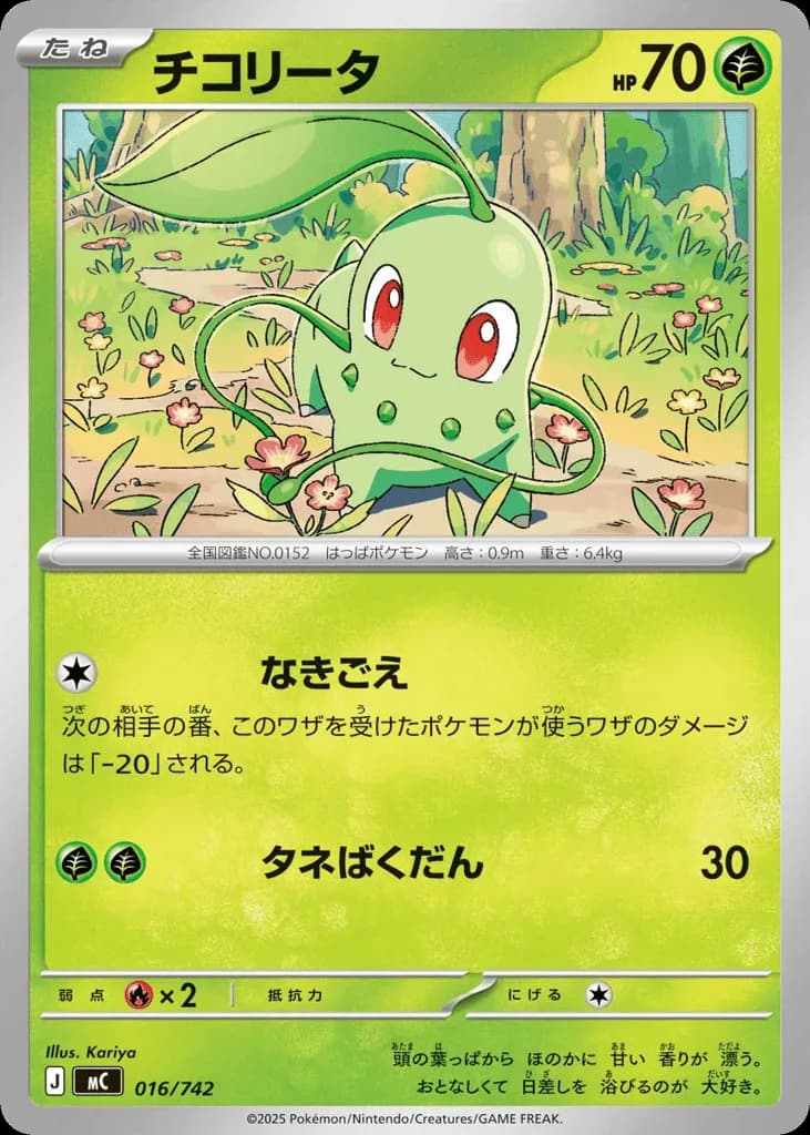 Chikorita