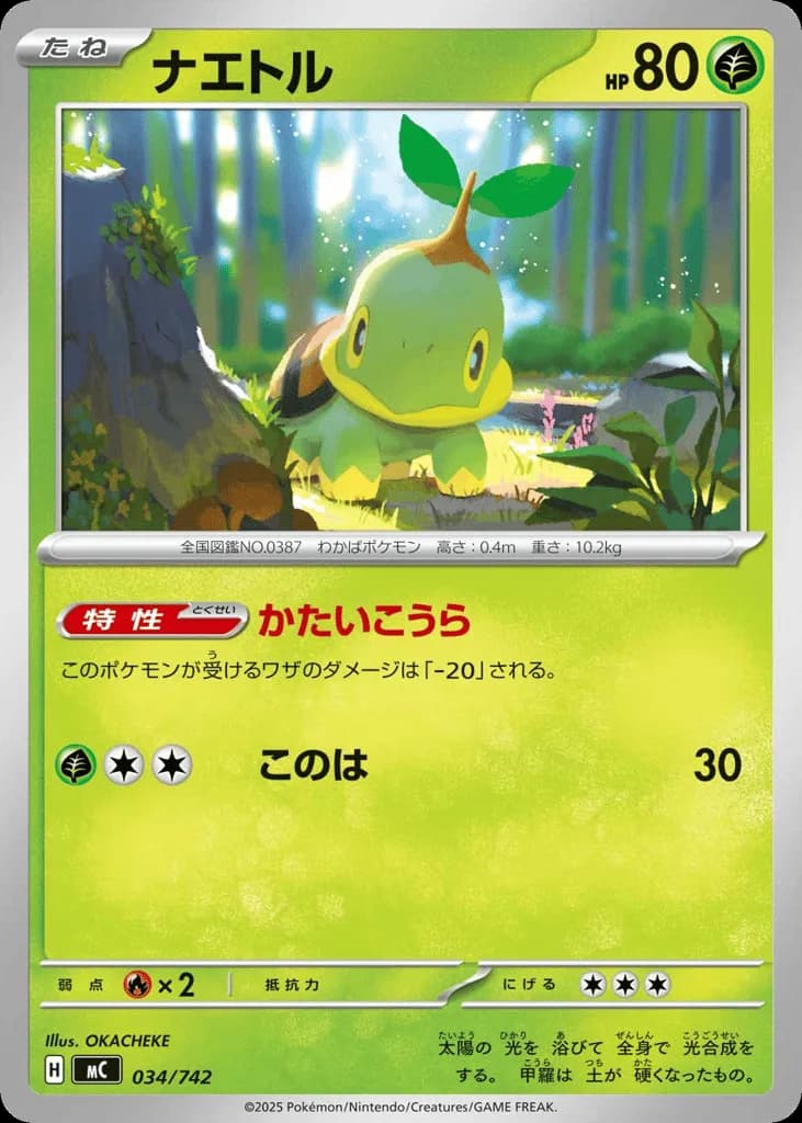 Turtwig