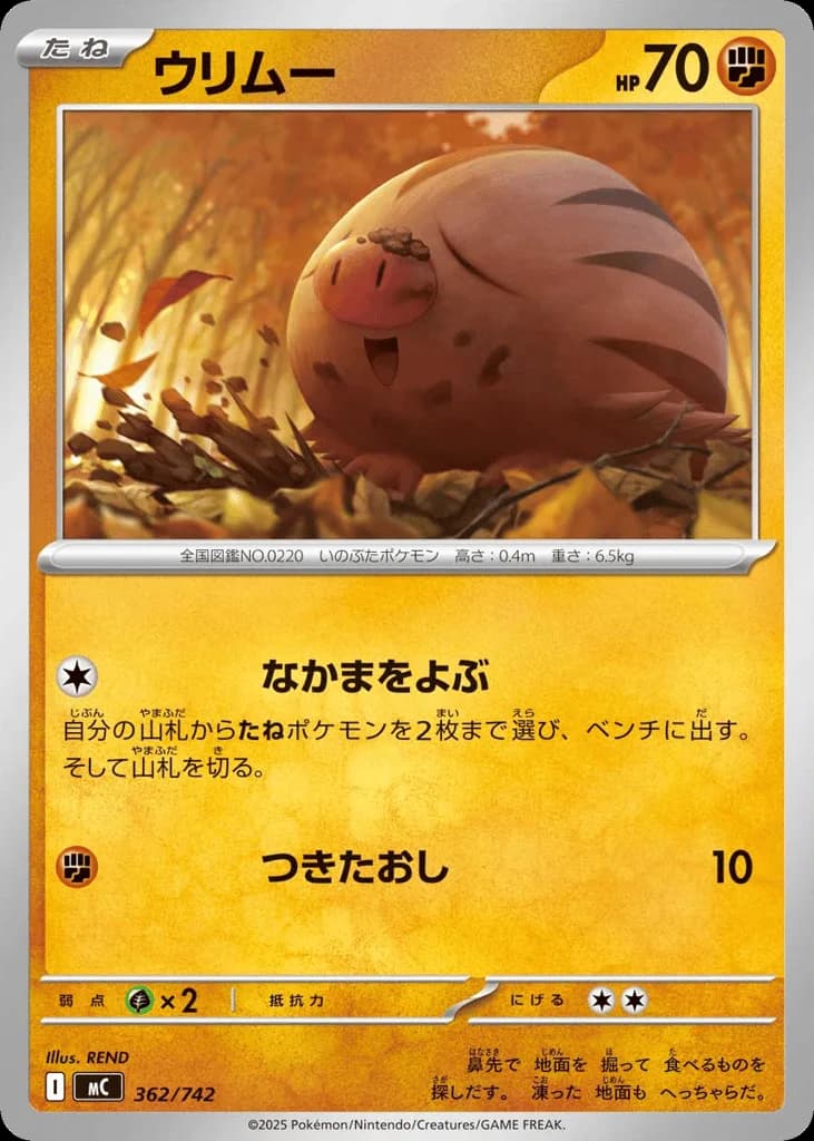 Swinub