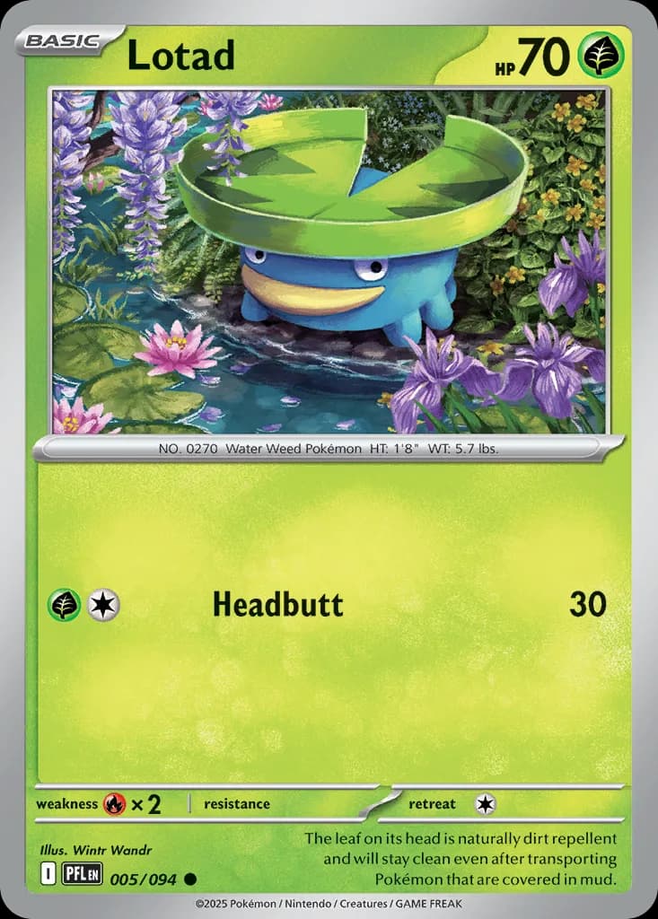 Lotad
