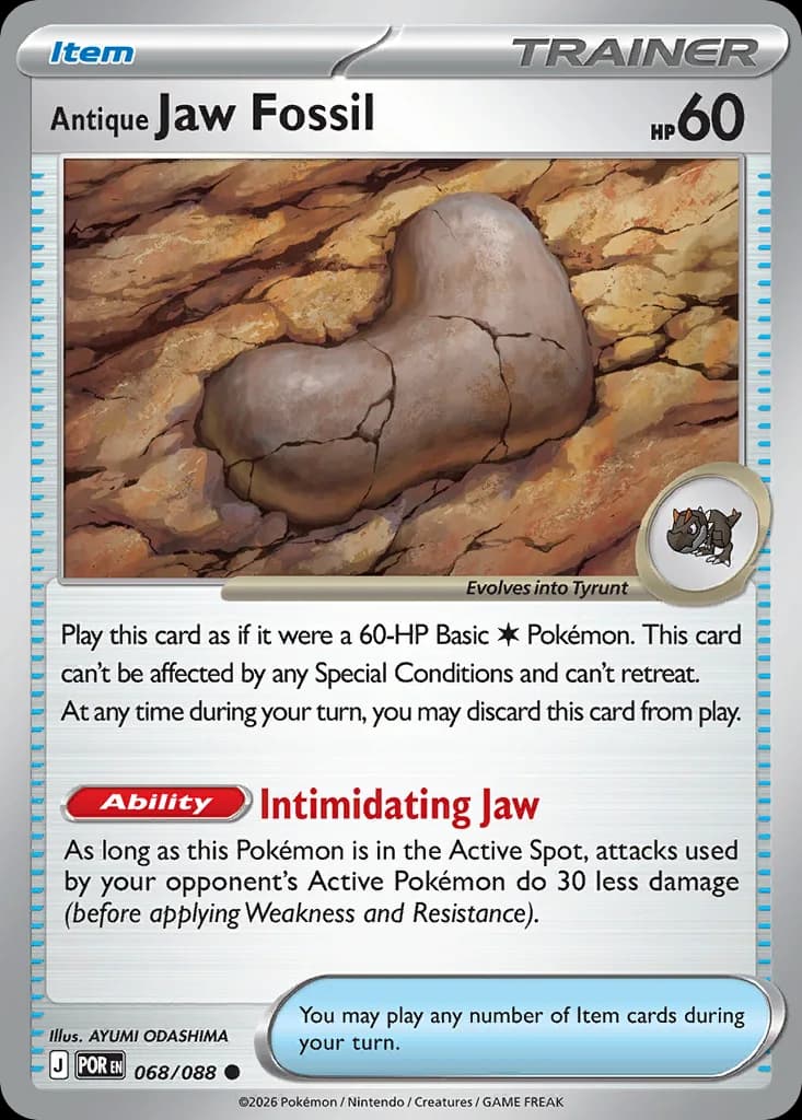 Antique Jaw Fossil