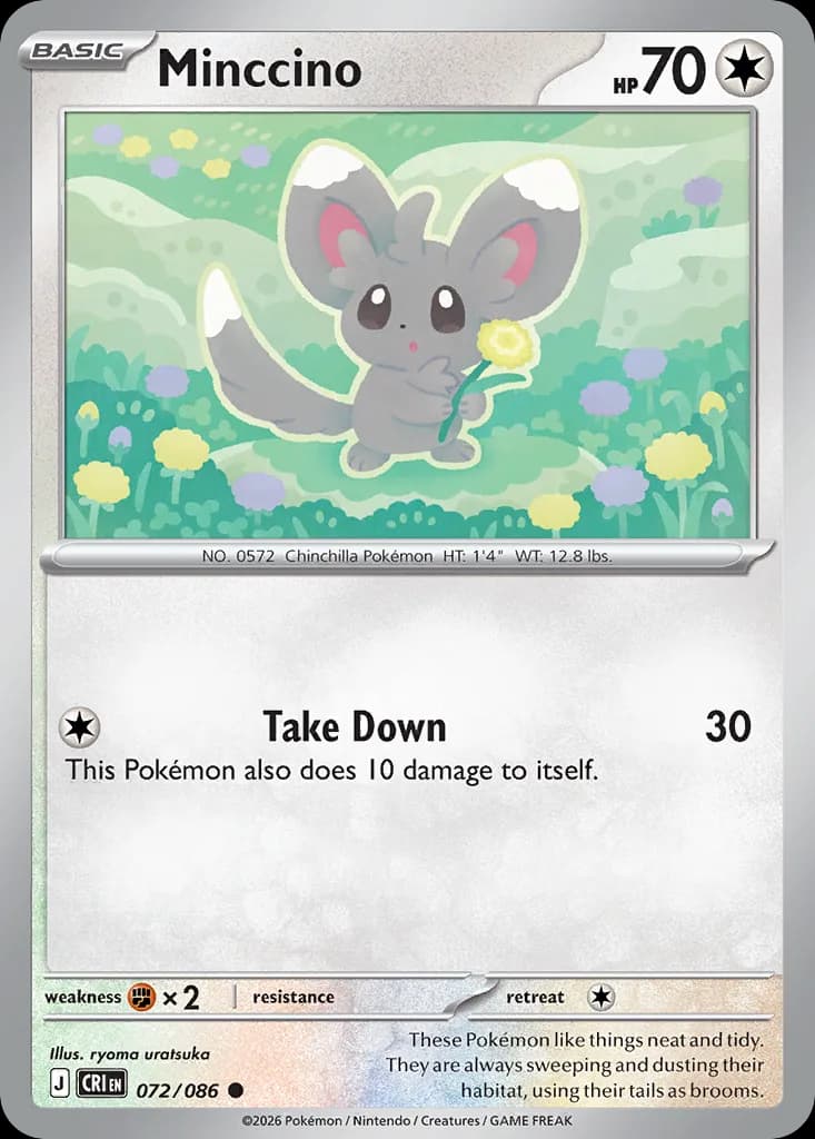 Minccino